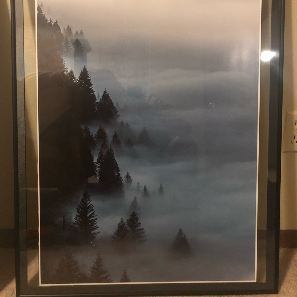 Above the Fog